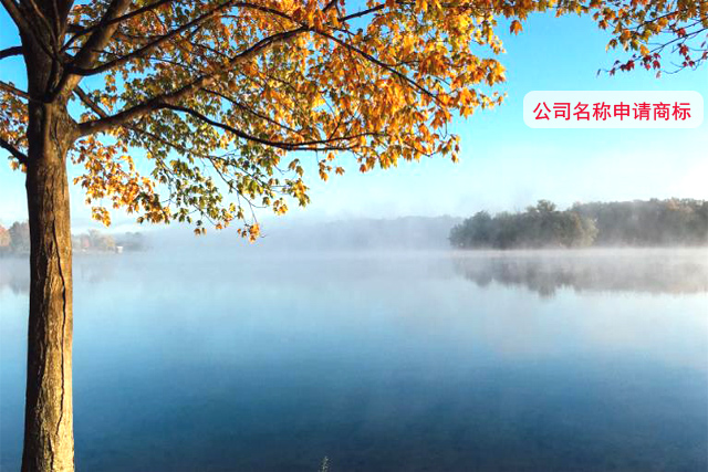 公司名稱和商標有什么不同?