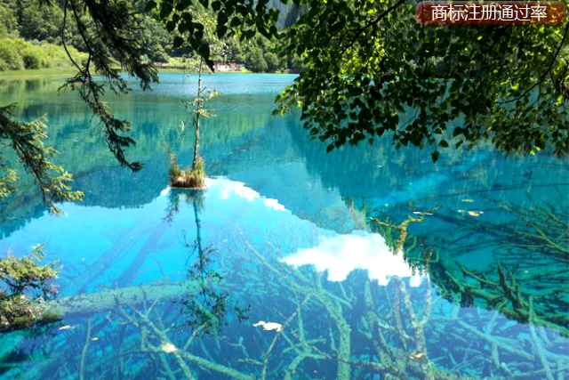 商標(biāo)注冊(cè)提高通過率的具體操作 商標(biāo)注冊(cè)提高通過率的具體操作