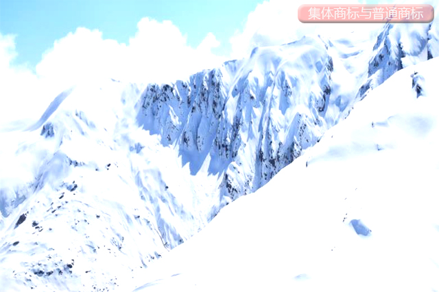 集體商標(biāo)與普通商標(biāo)有哪些區(qū)別? 集體商標(biāo)與普通商標(biāo)有哪些區(qū)別?