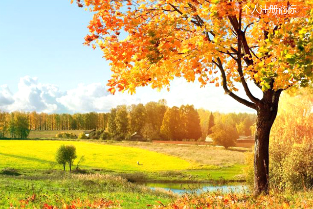 個(gè)人可以申請(qǐng)商標(biāo)注冊(cè)嗎? 個(gè)人可以申請(qǐng)商標(biāo)注冊(cè)嗎?